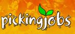 [Picking Jobs]