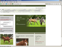 GM Yearlings Quality Yearlings for Sale